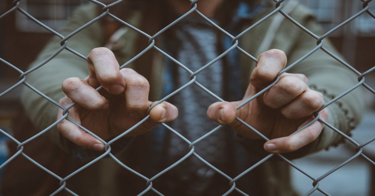 12 of the best Fencing to use for security!
